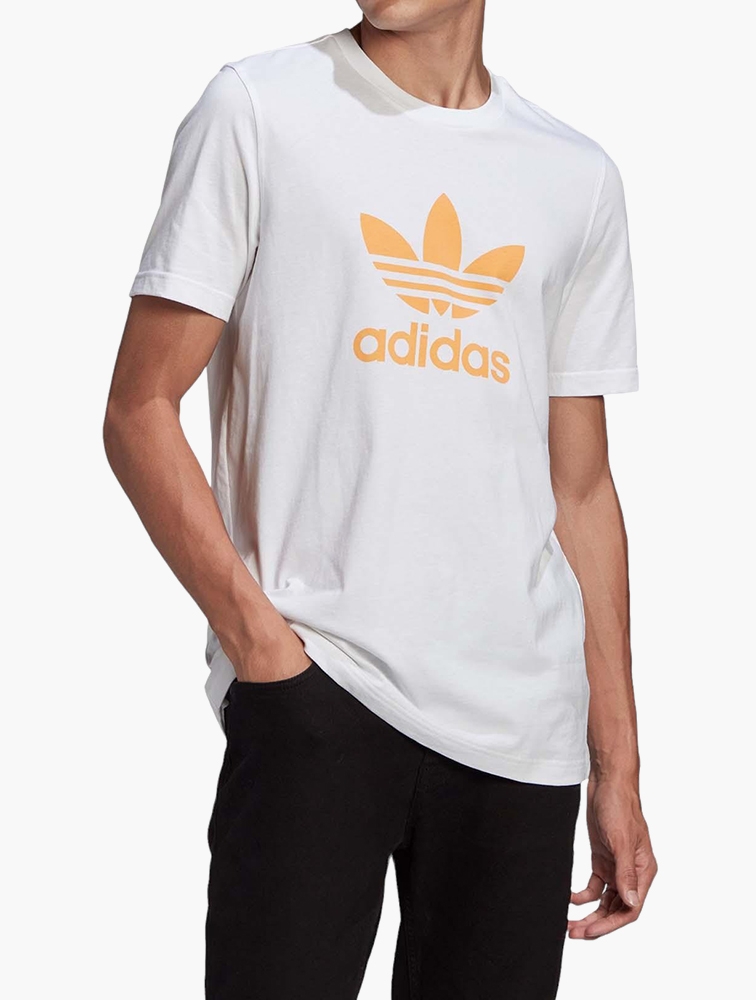 205KB 2001 null null null null 15 15 12 2003 null U2cEZvkjZ2jISM